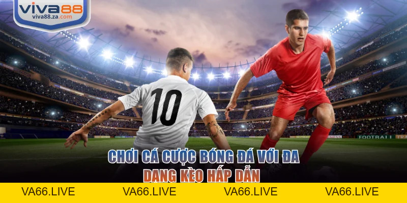 Thể Thao VIVA88 - Sảnh Cược Đa Dạng Giải Đấu Hấp Dẫn - Va66
