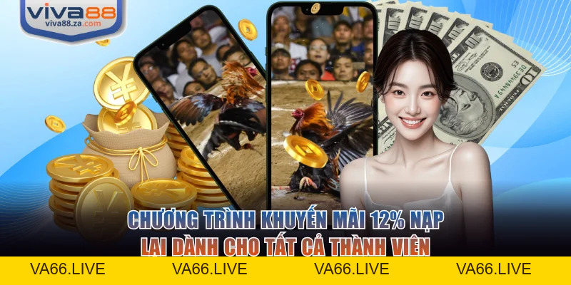 Đá Gà VIVA88 - Trải Nghiệm Sàn Đấu Kịch Tính, Đẳng Cấp - Va66