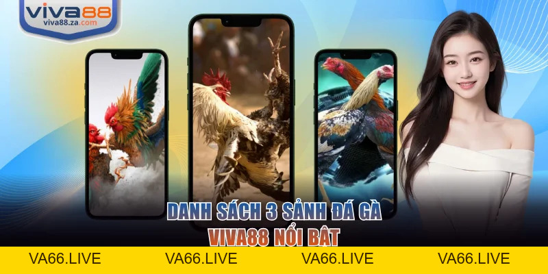 Đá Gà VIVA88 - Trải Nghiệm Sàn Đấu Kịch Tính, Đẳng Cấp - Va66