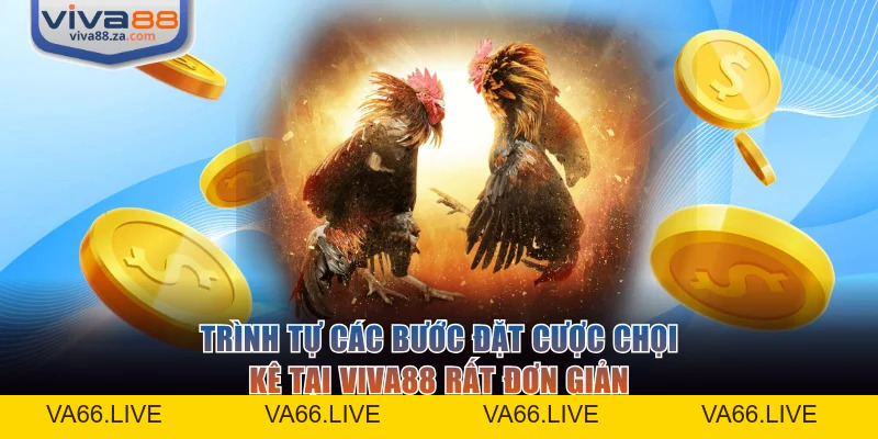 Đá Gà VIVA88 - Trải Nghiệm Sàn Đấu Kịch Tính, Đẳng Cấp - Va66